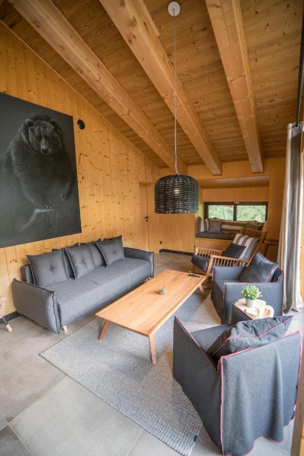 דמנובסקה דולינה Chalet One Jasna מראה חיצוני תמונה